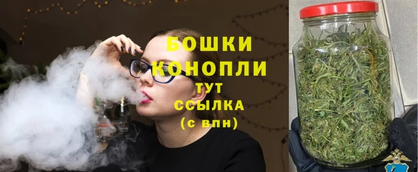 прущие грибы Новозыбков